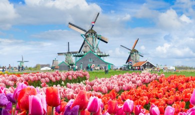 Nederlands spreken in dagelijkse situaties